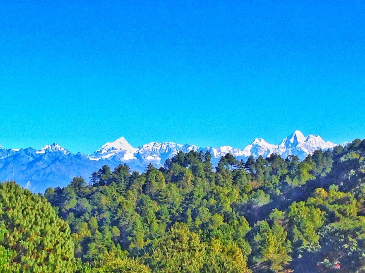 Hotel Everest Window View 纳加阔特 外观 照片